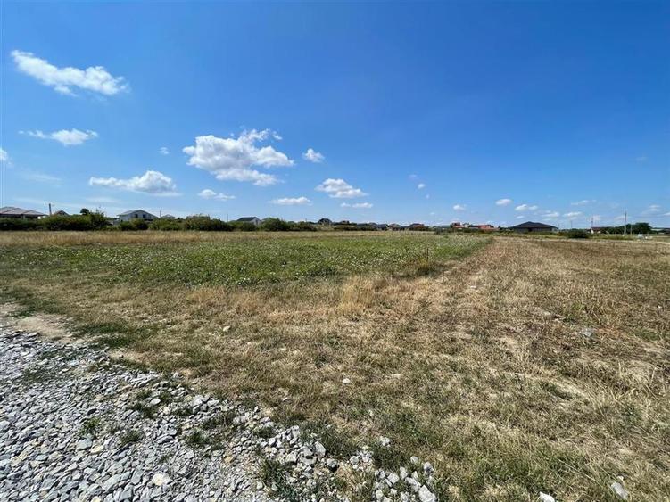 TEREN | 1391MP | SANMARTIN | BIHOR