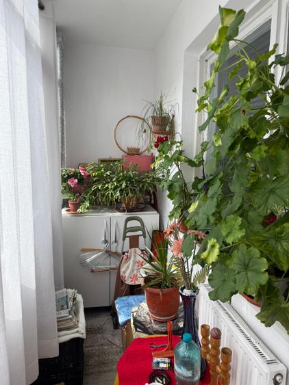 Apartament 3 camere Liceul Racovita id.159608