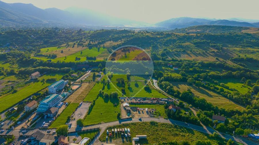 Teren intravilan 7.660 mp lângă Bran, panoramă 360°, comision 0%