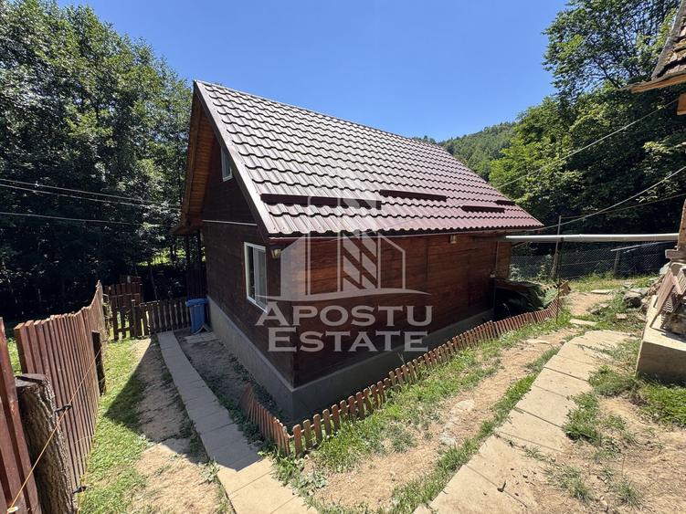 Casa din lemn, zona muntoasa, cu rau, la cheie, Ribita, Hunedoara