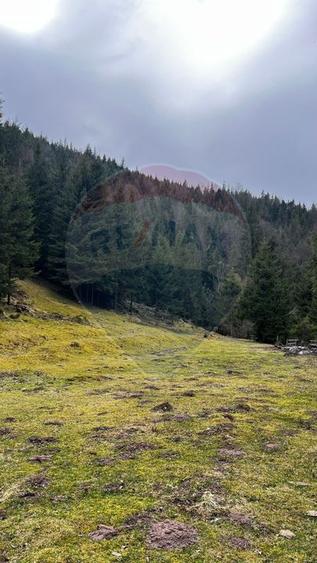 Teren intravilan 4331mp | Arieșeni | Oportunitate de Investiție