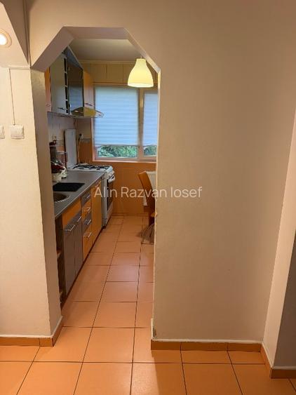 Apartament 2 camere în Dristor, Park Lake