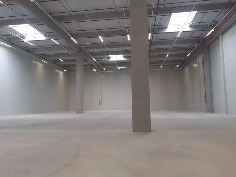 Depozite construite conform cerintelor / Warehouses build to suit