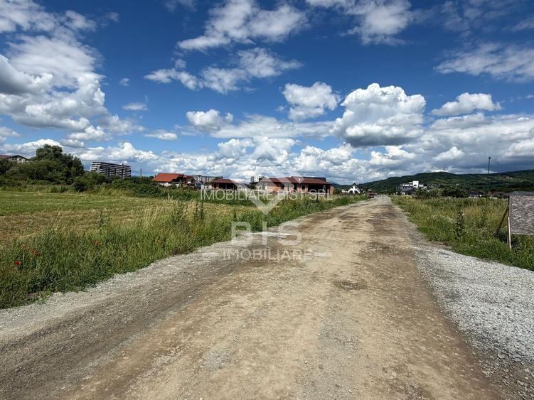 TEREN DE VÂNZARE – STRADA ZĂVOAIE - 3