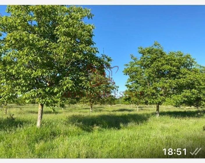 O oportunitate rară de investiție în agricultură, într-o zonă buna.