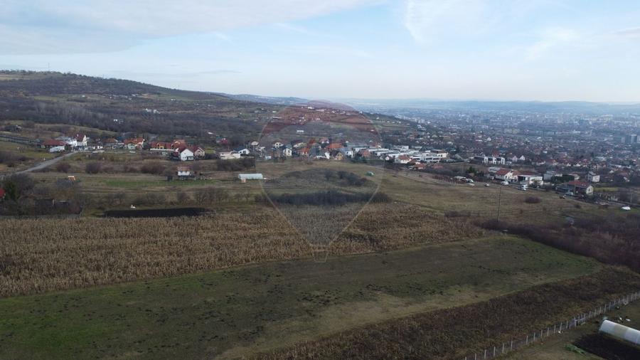 Teren 19.375 mp Dâmbu Rotund. Potențial rezidențial. Extravilan
