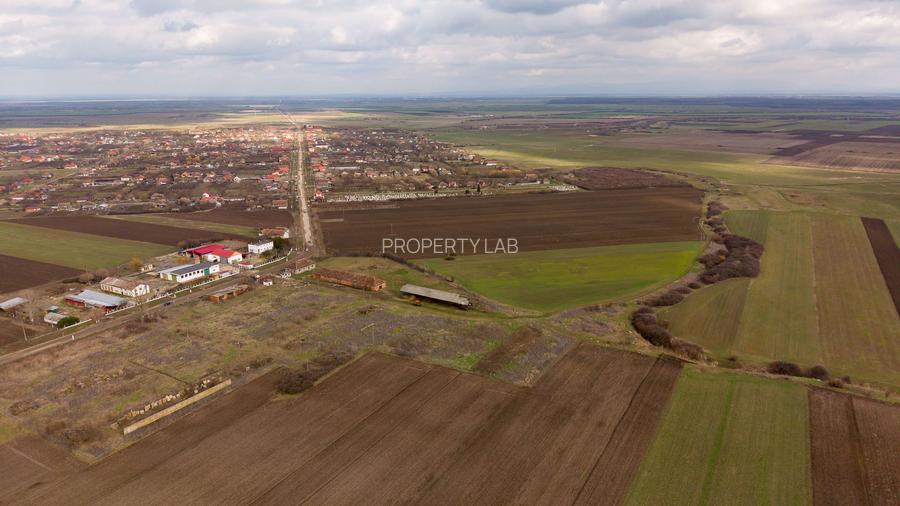 Fermă cu teren intravilan de 35000 mp în Mișca - 4