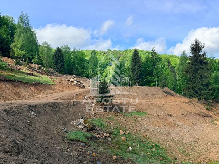 Oportunitate! Domeniu montan, cu lac propriu, oras Lupeni, Hunedoara - 22