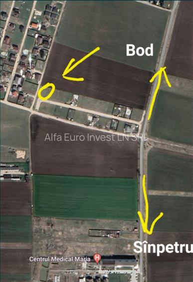 Casa p + 1 + pod intre Sînpetru si Bod - 7