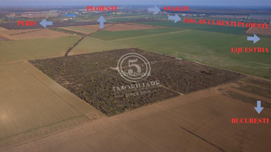 Ocazie- Teren Intravilan de Vanzare- Peris Snagov- Doar 10 euro/mp