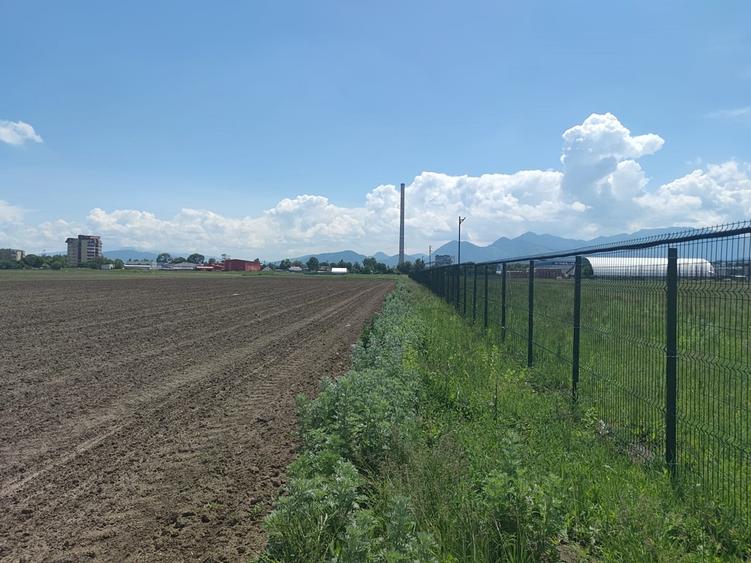Teren intravilan cu potențial excelent în Triaj, Narciselor, pentru dezvoltatori