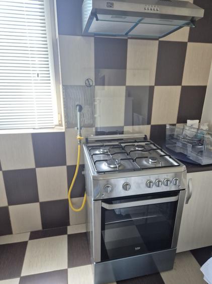 Apartament cu gradina, foisor si bucatarie de vara in Vidra
