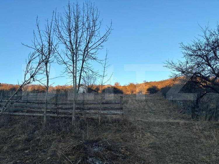 Teren Intravilan, 65000mp, Valea Slatinitei - 2