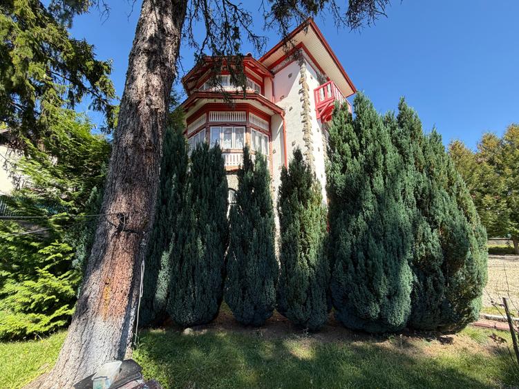 Vilă istorică de vânzare Castel Aura Buzescu Bușteni str. Victoriei nr. 11