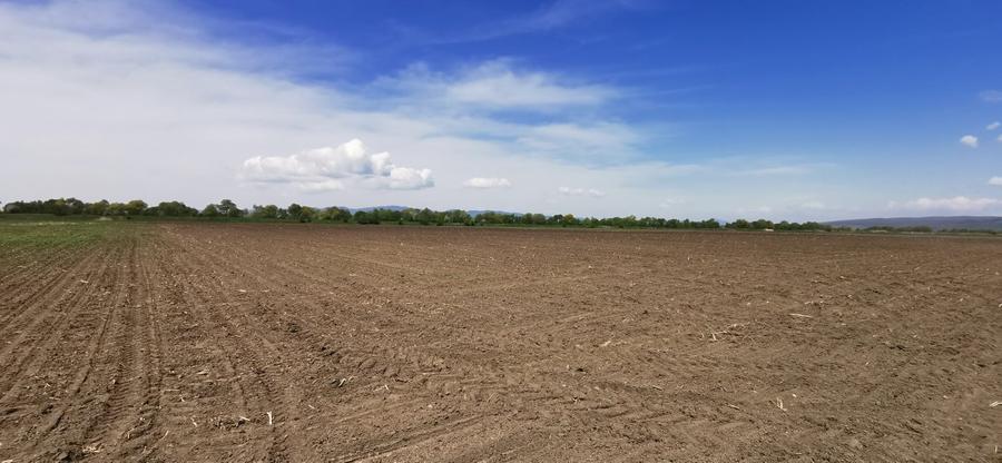 TEREN AGRICOL DE VANZARE - BOD - BRASOV 4,5 HA