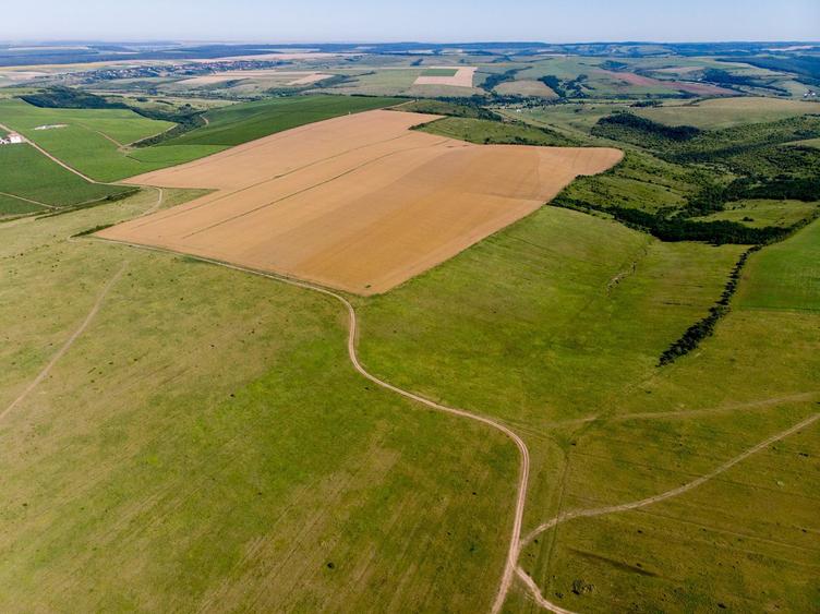 Teren arabil de 1771 hectare în Dolj