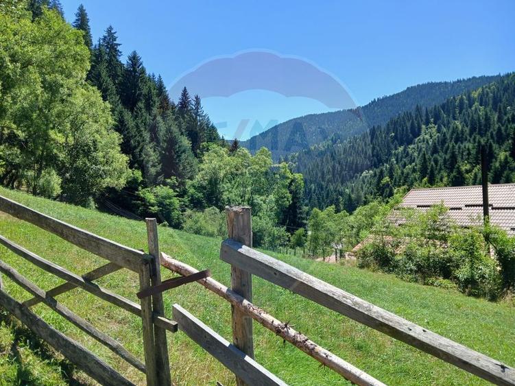 Teren intravilan 1349mp | Scarisoara | Oportunitate de Investiție