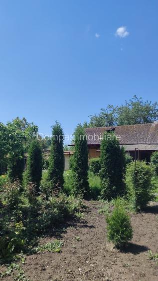 Casă bătrânească în Davideni – curte generoasă de 2.000 mp - 3