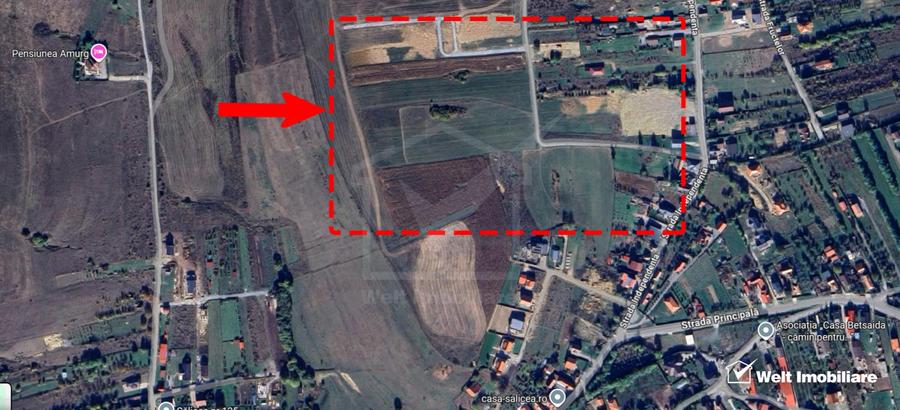 1500 mp front de 17,5 metri - Teren cu potential excelent in Salicea