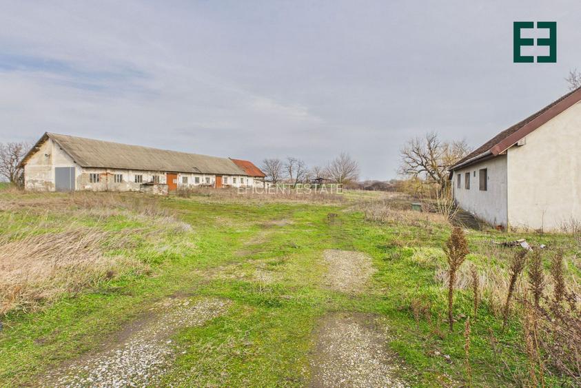 Teren de 8.632 mp + Proprietate Industrială - Voiteg - Județul Timiș - 21