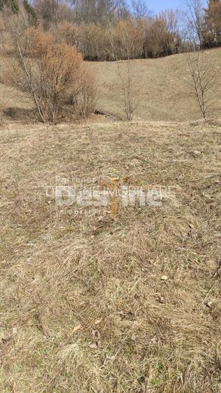 Teren 5000 mp, ideal cabana, pensiune,  in zona de interes  turistic  Rucar-Bran - 6