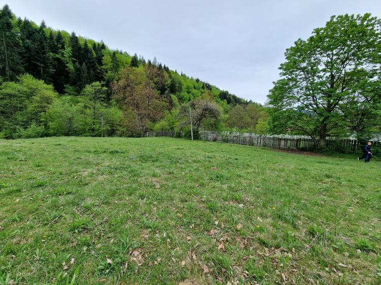Teren intravilan 2936 mp. Bistrița jud Neamt