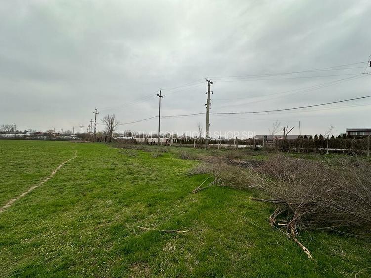 Teren 157.000mp Mogosesti | Giurgiu - 5