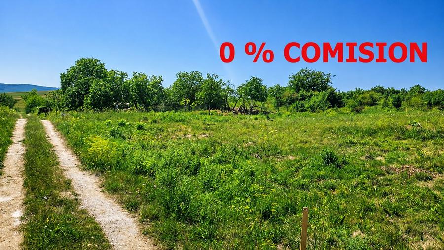 Teren 1.801mp autorizabil pentru constructie casa in Borhanci