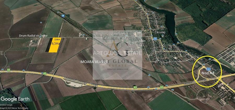 Teren de vanzare Intravilan Caciulati Autostrada A3 Drumul Teilor COMISION 0% - 5