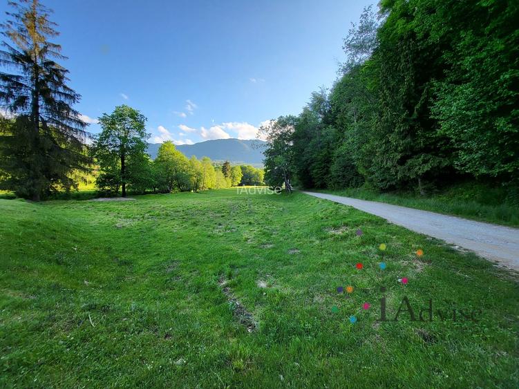 Teren in muntii Ciucas– Locație de Vis cu PUZ Aprobat - 7