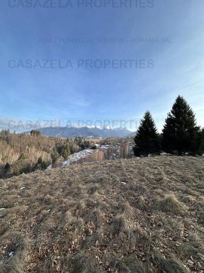 Teren 2,5 hectare in Simon, comuna Bran