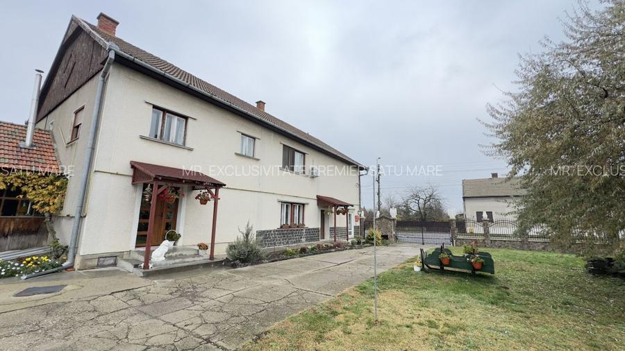 Casă 7 camere cu Teren 4.620 mp | Potențial pentru rezidență sau afacere | Carei - 32