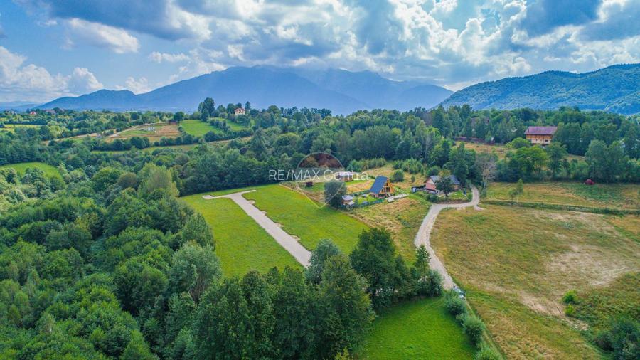 Teren 500mp Tohanita (intre castelul Bran si Zarnesti), langa padure - 6