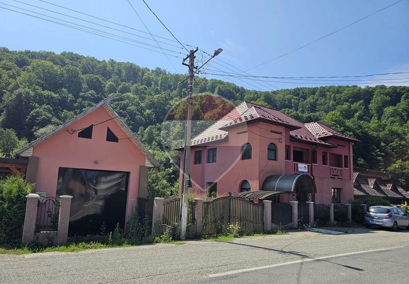 Casă / Vilă cu 12 camere de vânzare