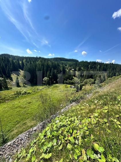 Teren intravilan de vanzare, 6941 mp, zona Mestecăniș