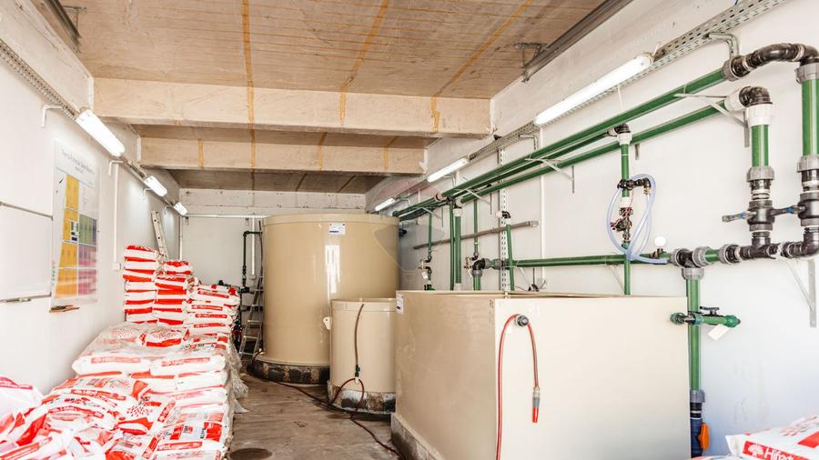 BUSINESS DE VANZARE Plantatie de afin din Romania