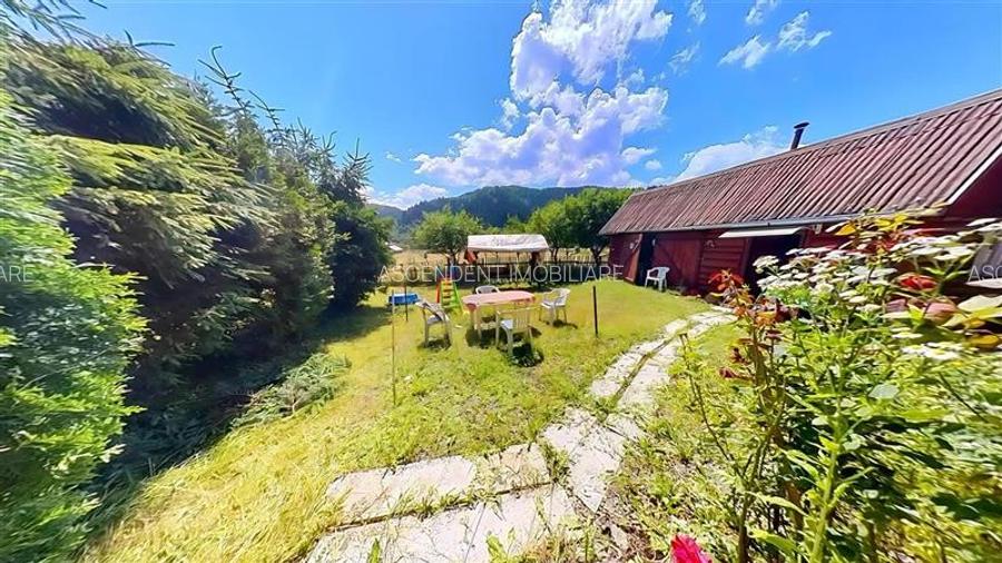3D&FILM! Refugiu de vacanta, in pitorescul cadru: Lunca Bradului, Mures. - 20