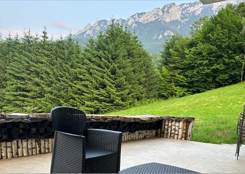 Vila de lux Brasov-Zarnesti-Piatra Craiului-Plaiul Foii, 2 HA, Gym sauna jacuzzi