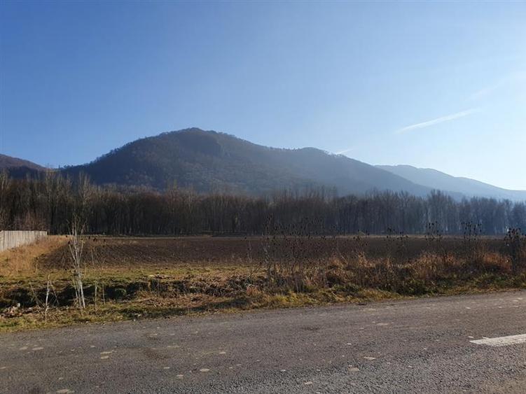 Vanzare Teren intravilan Str. Cucului, zona Bartolomeu 18600 mp