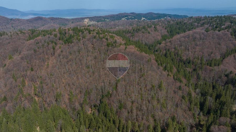 Teren intravilan, 56000 mp, Poiana Brașov