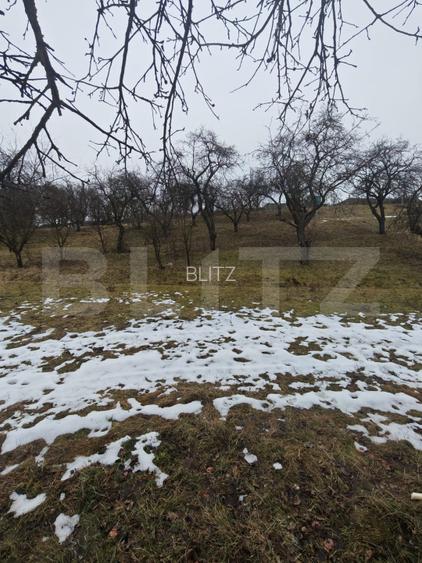 Teren intravilan în Mihai Viteazu, langa Turda, 2 parcele disponibile - 4