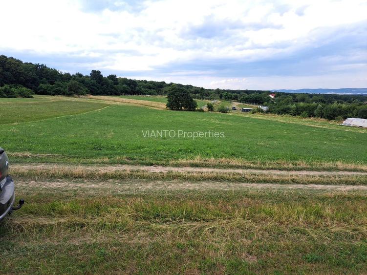 Oportunitate-Teren Extravilan 6200 mp cu vedere Panoramica-Tropinii Noi-Rasinari - 7