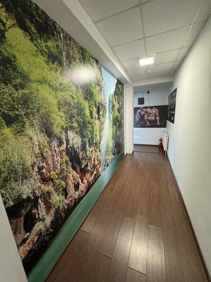 AFACERE LA CHEIE DE VÂNZARE – FLY FITNESS BISTRIȚA