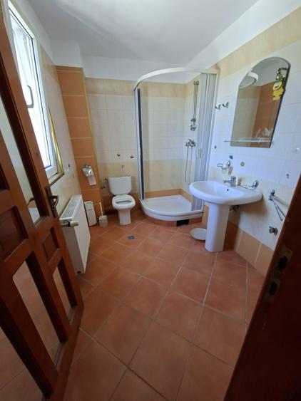 Dumbravita la intrare,  pentru locuit sau afacere