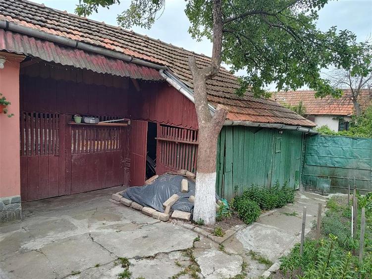 Casa de 3 camere, 500mp teren+bucatarie de vara+sura-Bod