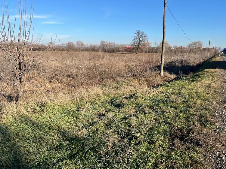 Teren intravilan, Săcădat, 27 921 mp. 9,5 Euro/mp. Comision 0.