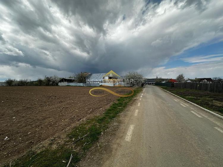 De vanzare doua loturi de teren in Fantanele-Bacau - 5