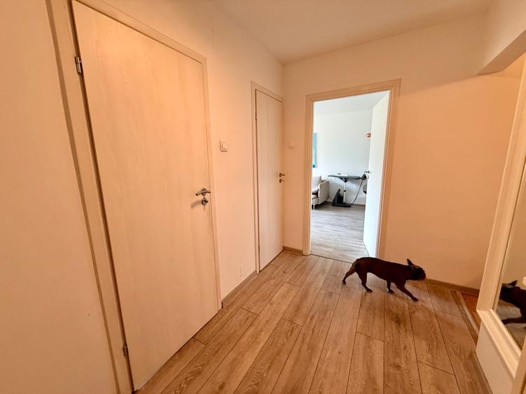 Drumul Taberei | 4 camere