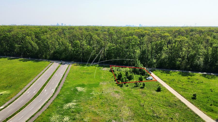 Teren intravilan, 2 fronturi, Drumul Padurea Pustnicu 65 - Greenfield