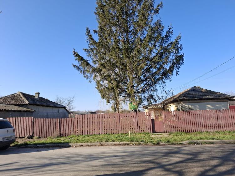 Teren 2.050 mp cu casă și proiect aprobat | Acces din două străzi | Negru Vodă